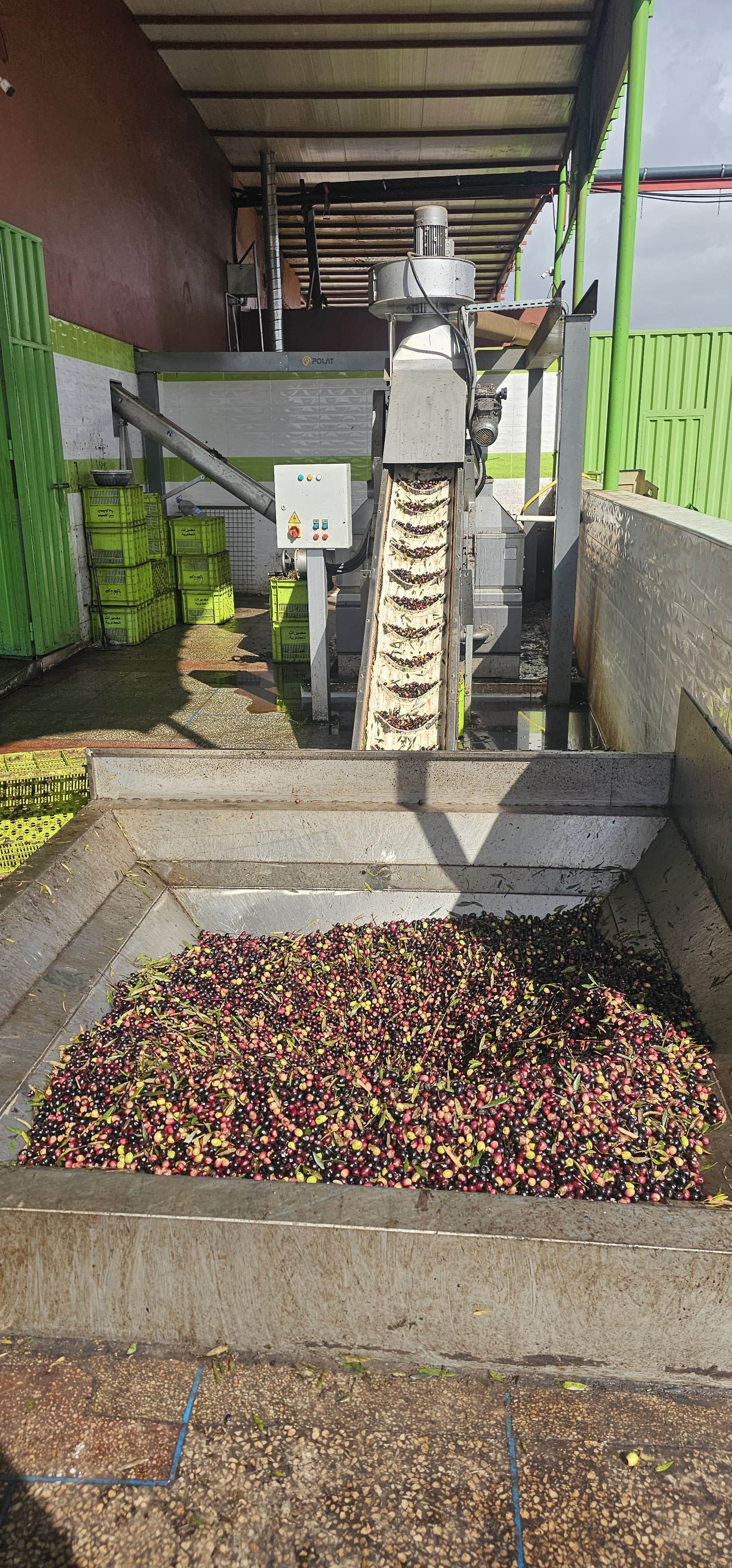 آلة غسل الزيتون